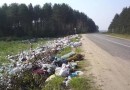 Миллион рублей за несанкционированный сброс мусора придется заплатить