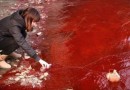 На Донбассе неизвестные химикаты смогли «убить» реку