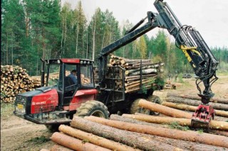 Для ликвидации дефицита семян в Костромской области создаются лесные питомники