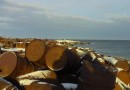На острове под названием Греэм-Бэлл в Архангельской области находится около 300 000 тонн неутилизированного топлива