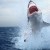 В прошлом году в США зафиксировали рекордное количество нападений акул