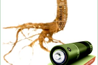 Экологическая литий-ионная батарея была создана из корня растений