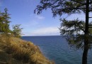Программа охраны Байкала не действует на экологические проблемы