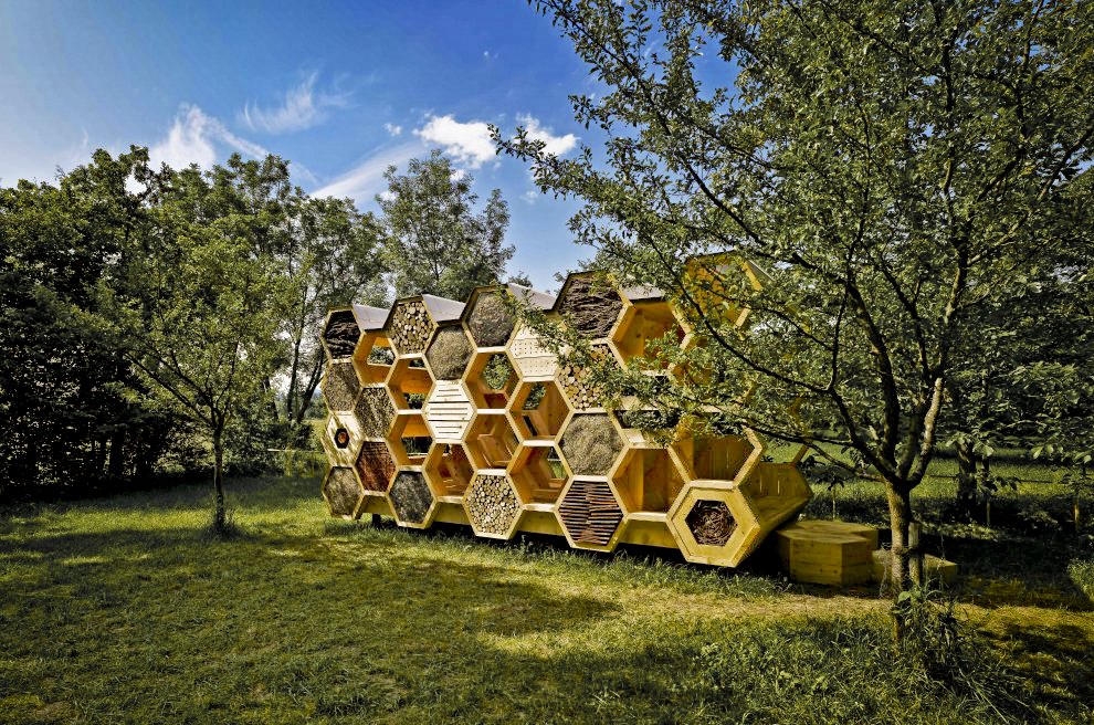 Как построить павильон для пчел фильмы
