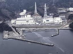 Под еще одной АЭС в Японии найден сейсмический разлом
