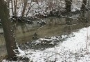Небольшая река на Харьковщине воняет сероводородом и имеет странный цвет