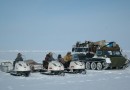 В российской Арктике начинают свою работу «Медвежьи патрули»