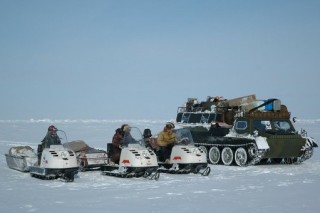 В российской Арктике начинают свою работу «Медвежьи патрули»