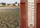 В борьбе с сильным потеплением ученые смогли найти «союзника»