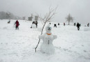 Бороться с таянием снега киевлянам помогут снеговики