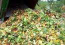 Сырье для компоста — пищевые отходы