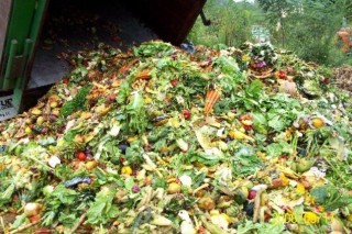 Сырье для компоста — пищевые отходы