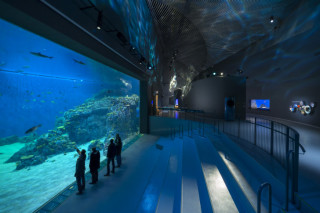 Крупнейший аквариум Европы откроется на днях в Дании