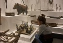 19 мая в камчатском краевом музее проведут «Экологическую ночь»