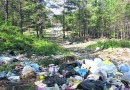 В Волгограде насчитали 238 незаконных мусорных свалок