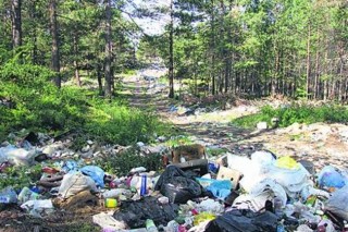 В Волгограде насчитали 238 незаконных мусорных свалок