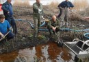 В Воронеже выяснили причину загрязнения водохранилища