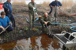 В Воронеже выяснили причину загрязнения водохранилища