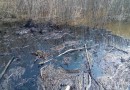 По фактам разлива нефти на реках республики Коми возбуждено уголовное дело