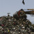 Росприроднадзор поспособствует утилизации отходов в Подмосковье