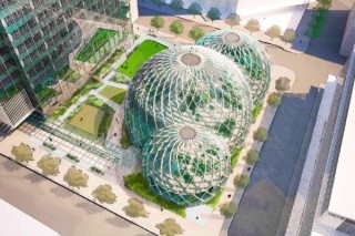 Новая штаб-квартира Amazon будет напоминать ботанический сад