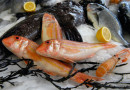 Морская рыба ест пластик и изобилует токсинами