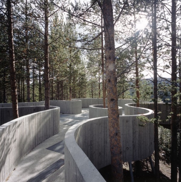 Смотровая площадка в норвежском лесу