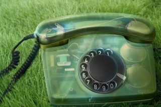 В Омске запустили телефонную «зеленую линию»