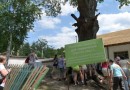 В Воронеже пройдет экологический фестиваль «Вантит»
