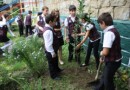 Школьники вместе с лесниками высадили в Мессажае кустарники