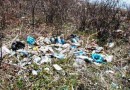 Добровольцы очистят остров Рейнеке от мусора