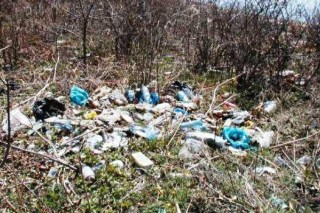 Добровольцы очистят остров Рейнеке от мусора