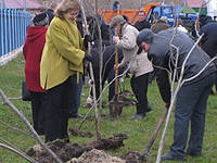 В Ульяновске заверилась акция по высадке деревьев и кустарников