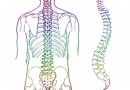 Как помочь больной спине?