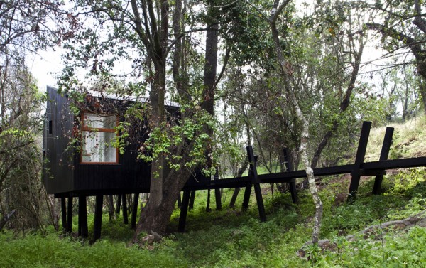 Дом на сваях у лесного ручья