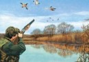 Старт сезону охоты в Московской области могут дать раньше запланированного