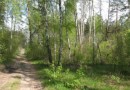 В Челябинске выявили незаконное выделение земельных участков на территории памятника природы «Ужевский бор»