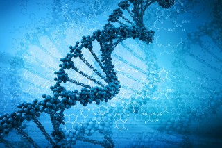 Генетики создали искусственную хромосому