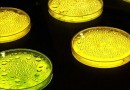Американские ученые создали живой материал из золота и бактерий