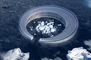 Арктический лед станет пищей для плавучего арктического города