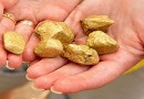Разработка золотоносного месторождения «Новые пески» начнется уже в текущем году