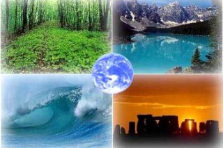 Мир отметил День экологических знаний