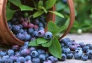 Какие продукты способствуют долголетию?