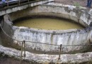 Экологическое недоразумение, или большая беда на Украине