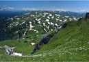 Кавказскому государственному природному биосферному заповеднику исполнилось 90 лет