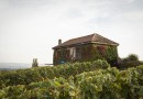 Гостевой дом среди женевских виноградников