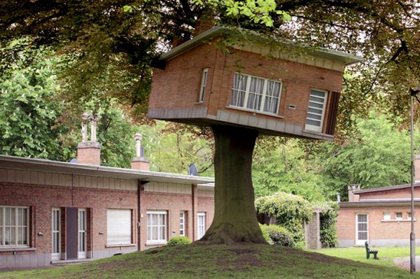 Дом, который влез на дерево