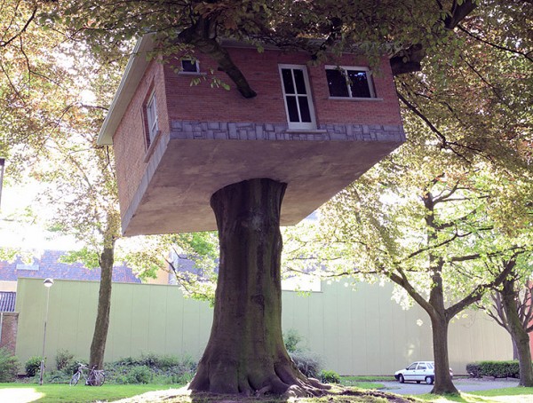 Дом, который влез на дерево