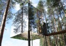 Treehotel: зеркальный домик на дереве