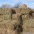 В Украине могут наладить производство биотоплива из соломы по польской технологии